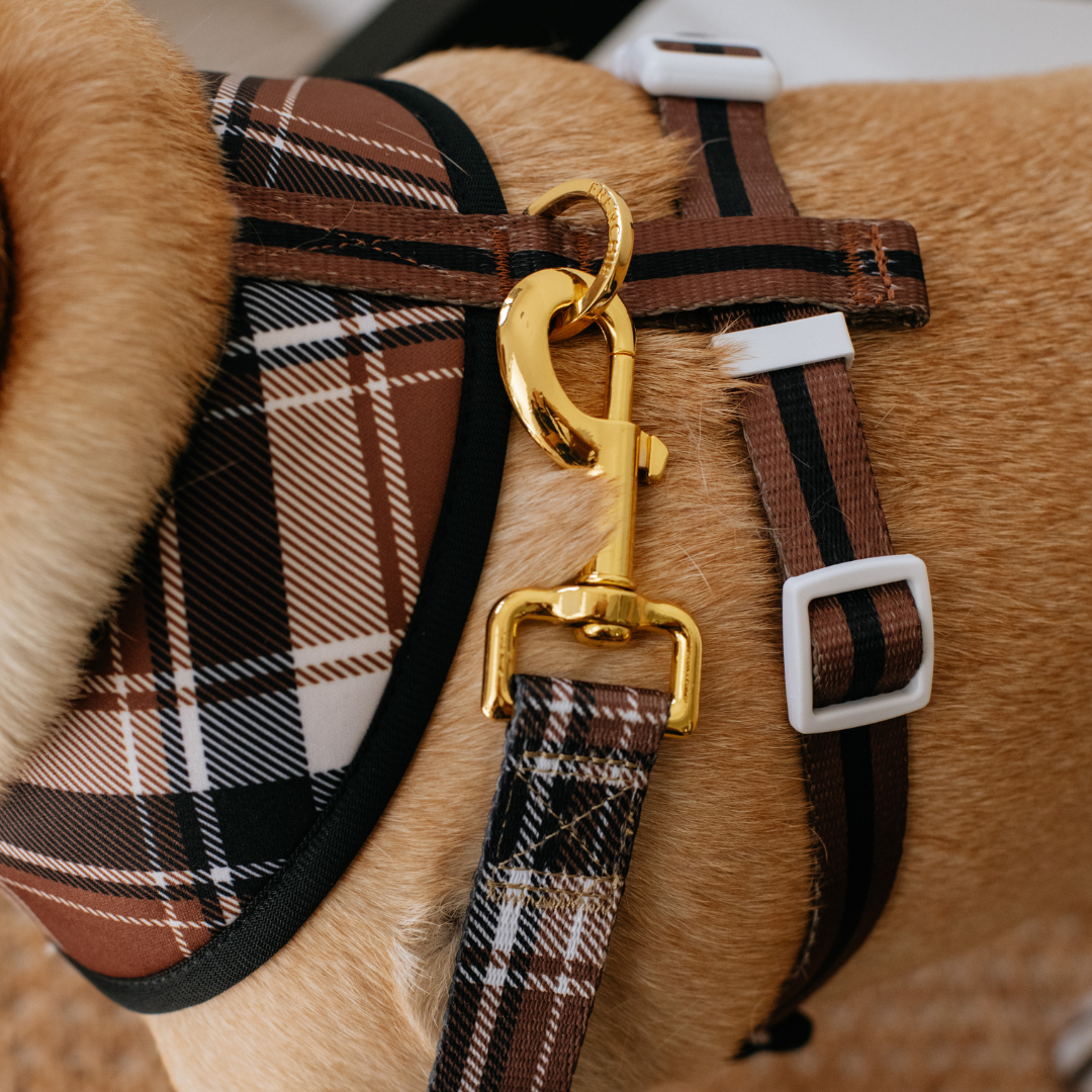 Frenchie Duo Reversible Harness - Cocoa Plaid