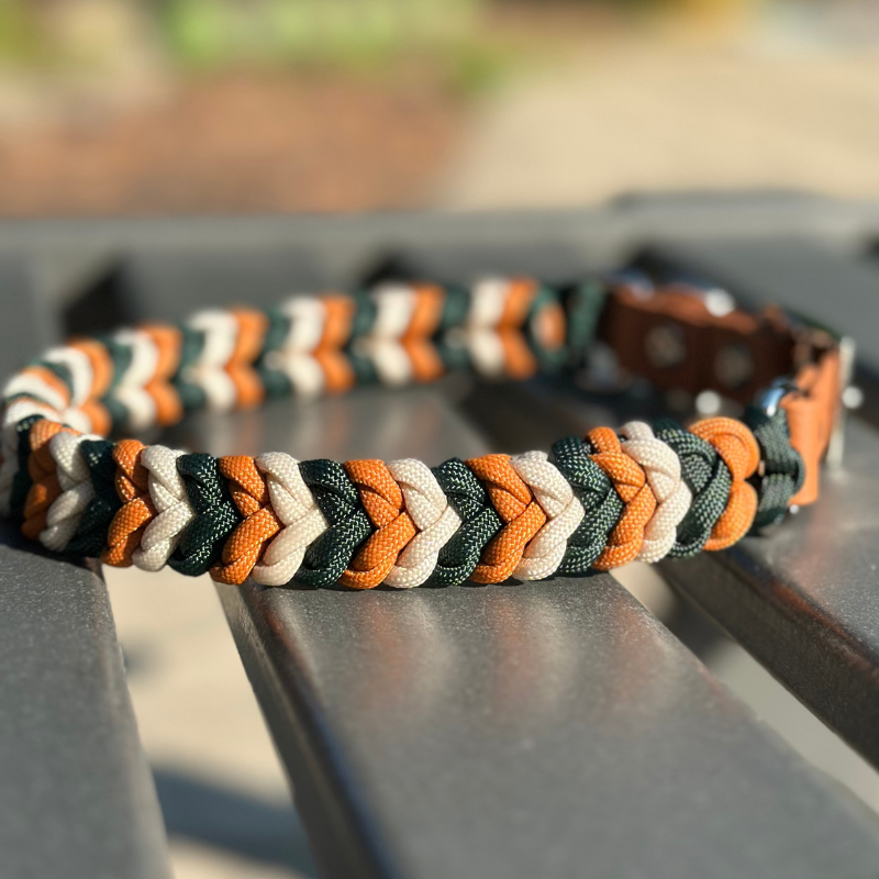 Coiled Charm Hand Braided Dog Collar in Hunter Green, Mustard, & Cream - HT Animal Supply