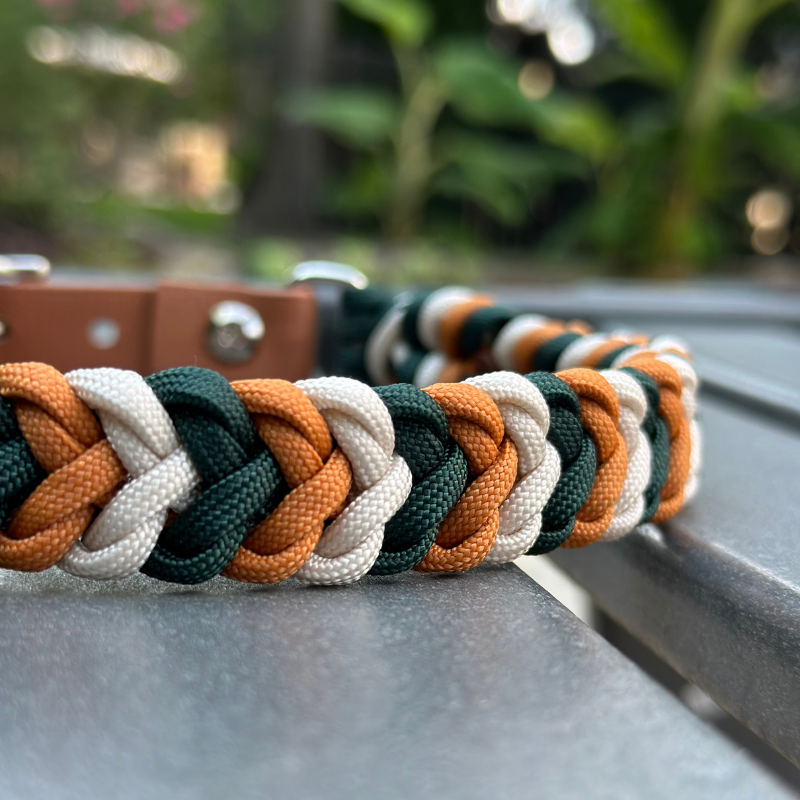 Coiled Charm Hand Braided Dog Collar in Hunter Green, Mustard, & Cream - HT Animal Supply