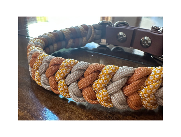 Coiled Charm Hand Braided Dog Collar in Mustard, Goldenrod, & Light Tan - HT Animal Supply
