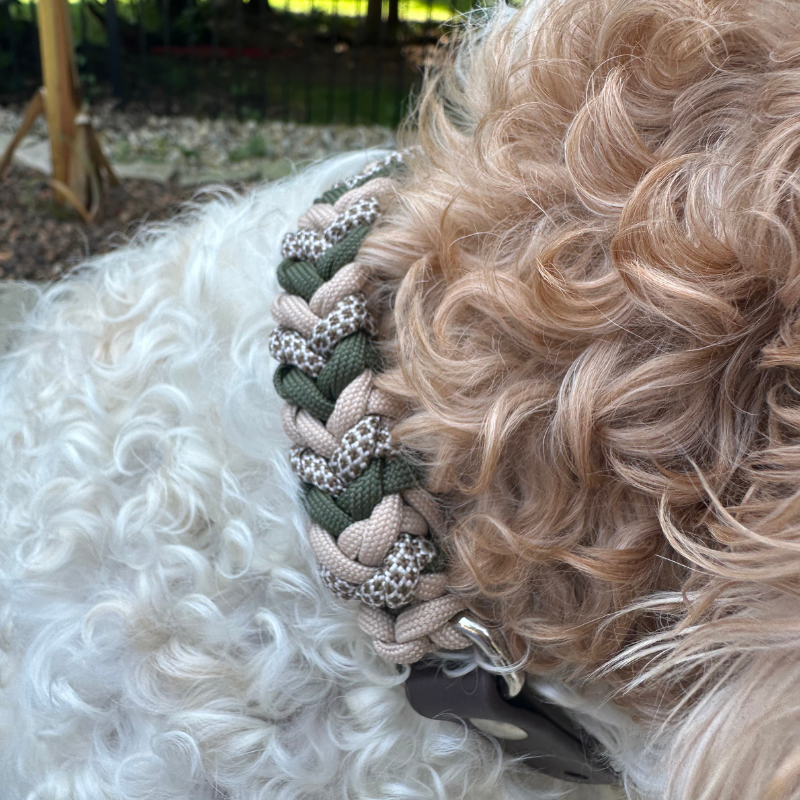 Coiled Charm Hand Braided Dog Collar in Olive, Light Tan, & Coyote Brown Diamonds - HT Animal Supply