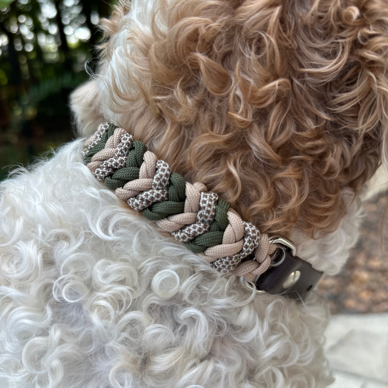 Coiled Charm Hand Braided Dog Collar in Olive, Light Tan, & Coyote Brown Diamonds - HT Animal Supply