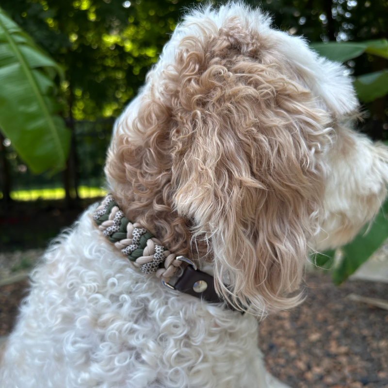 Coiled Charm Hand Braided Dog Collar in Olive, Light Tan, & Coyote Brown Diamonds - HT Animal Supply