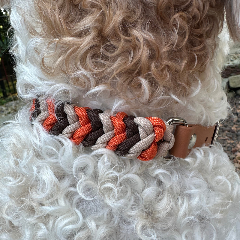 Coiled Charm Hand Braided Dog Collar in Burnt Orange, Walnut Brown, & Light Tan - HT Animal Supply