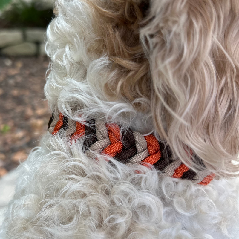 Coiled Charm Hand Braided Dog Collar in Burnt Orange, Walnut Brown, & Light Tan