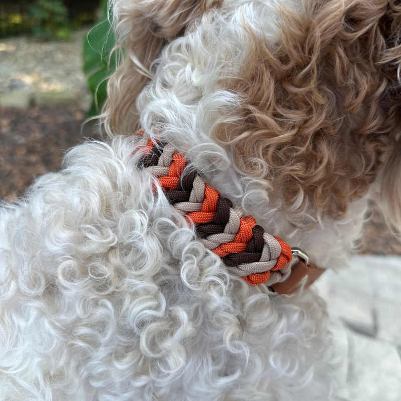 Coiled Charm Hand Braided Dog Collar in Burnt Orange, Walnut Brown, & Light Tan