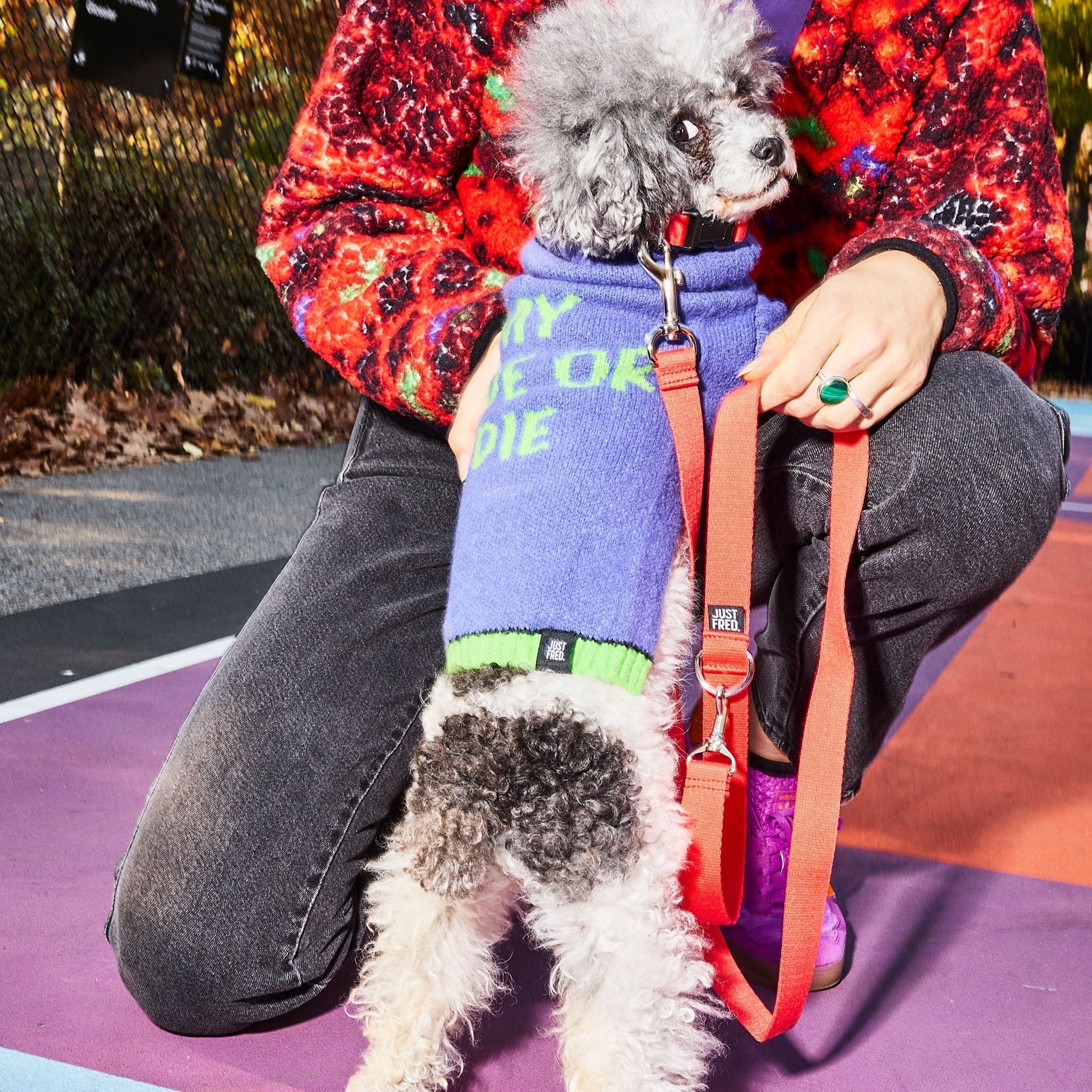 Dog Collar Kit
