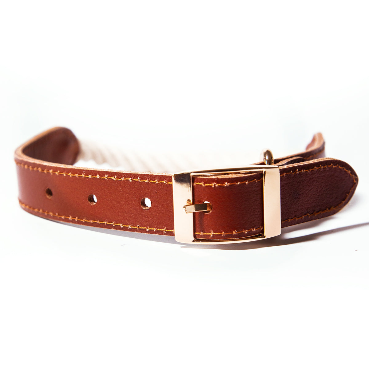 Glow Pups: White Cotton Rope and Leather Dog Collar