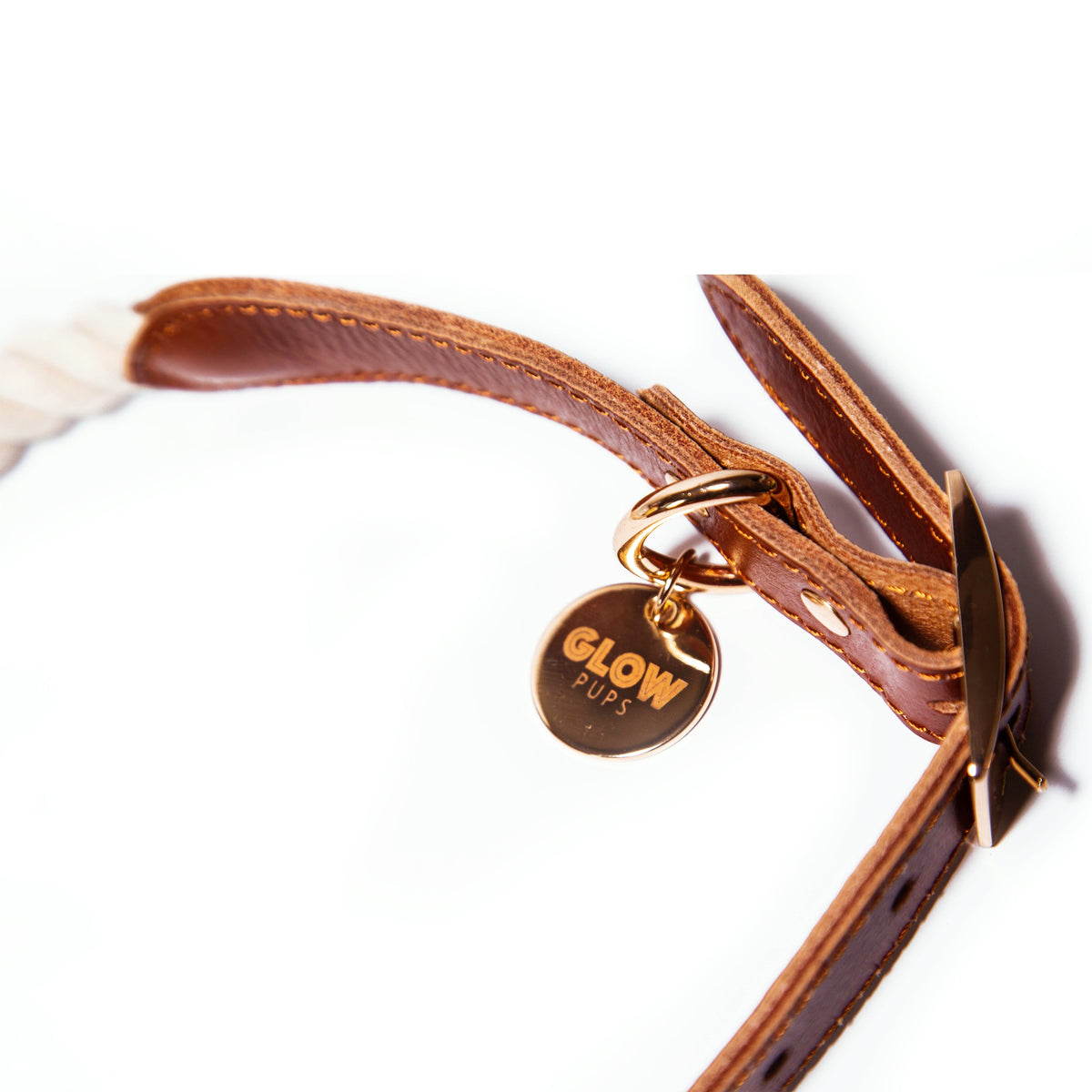 Glow Pups: White Cotton Rope and Leather Dog Collar