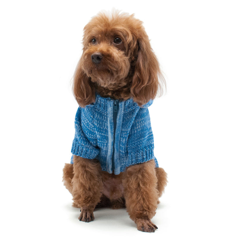 DOGO Colorblock Dog Sweater Coat