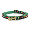 Up Country Colorful Hearts Small Breed Dog Leash Made in USA