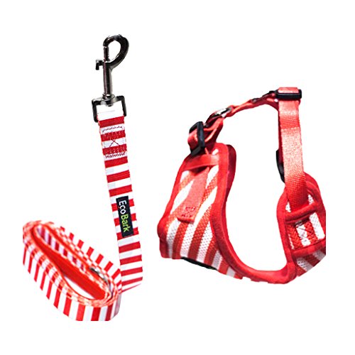 EcoBark – Red Stripe Harness & Leash Set