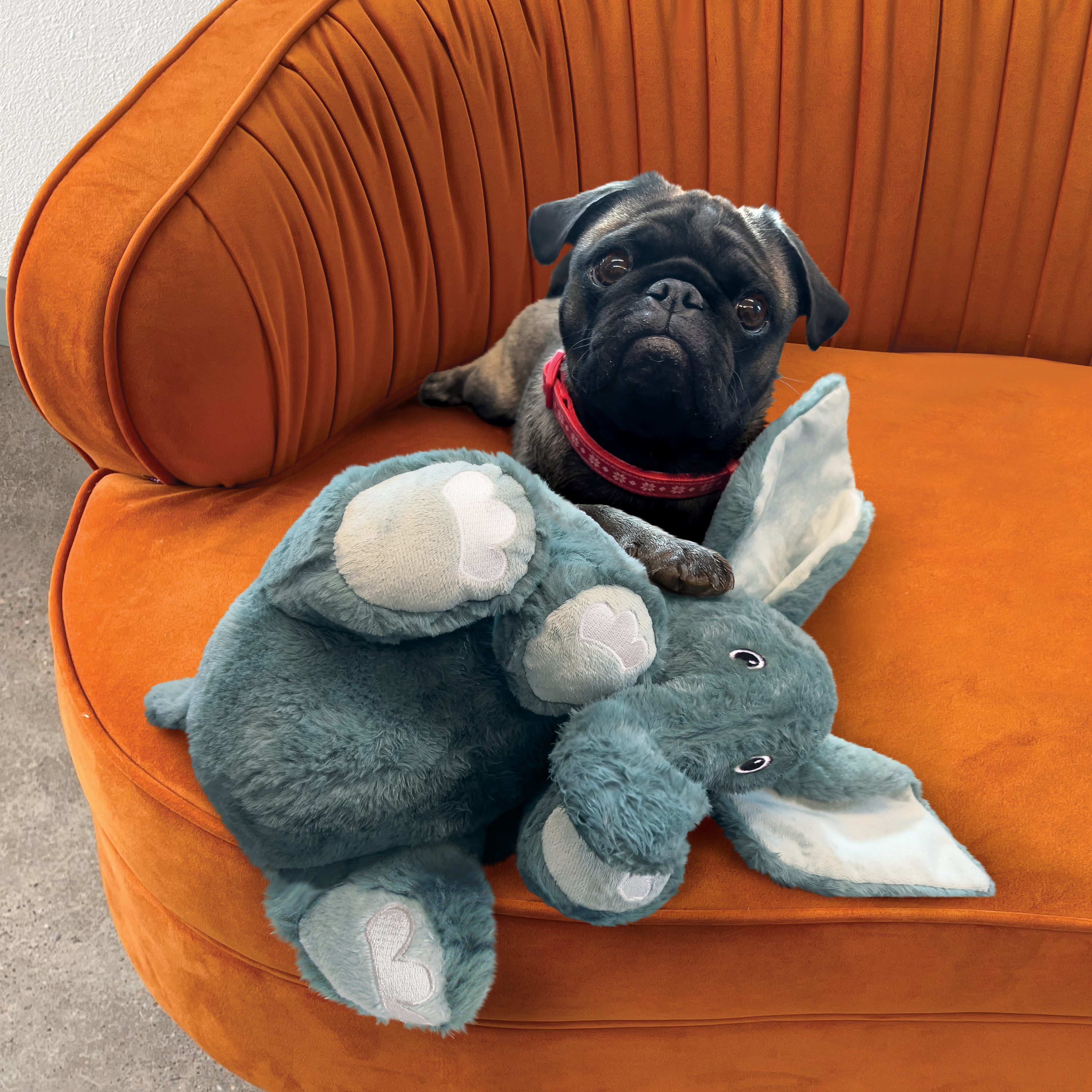 Kong Comfort Kiddos Jumbo Elephant - HT Animal Supply
