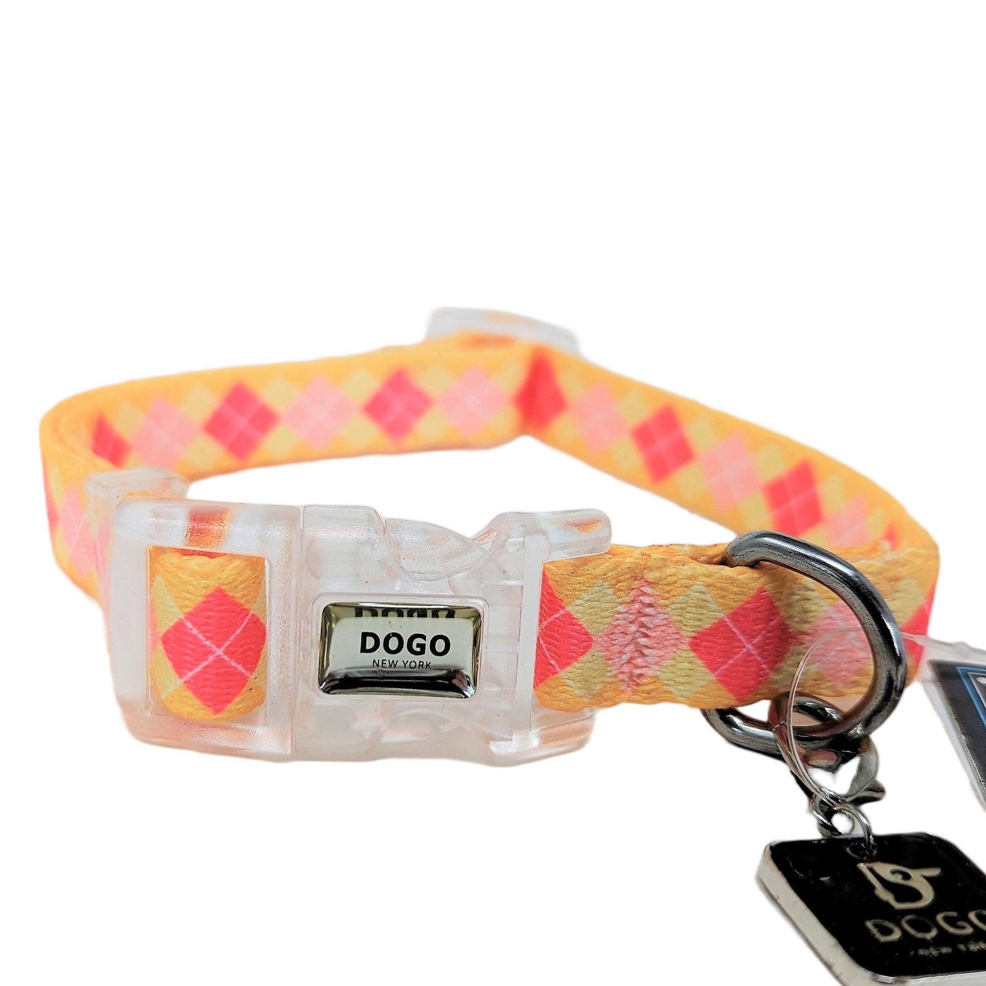 DOGO Contempo Dog Collar