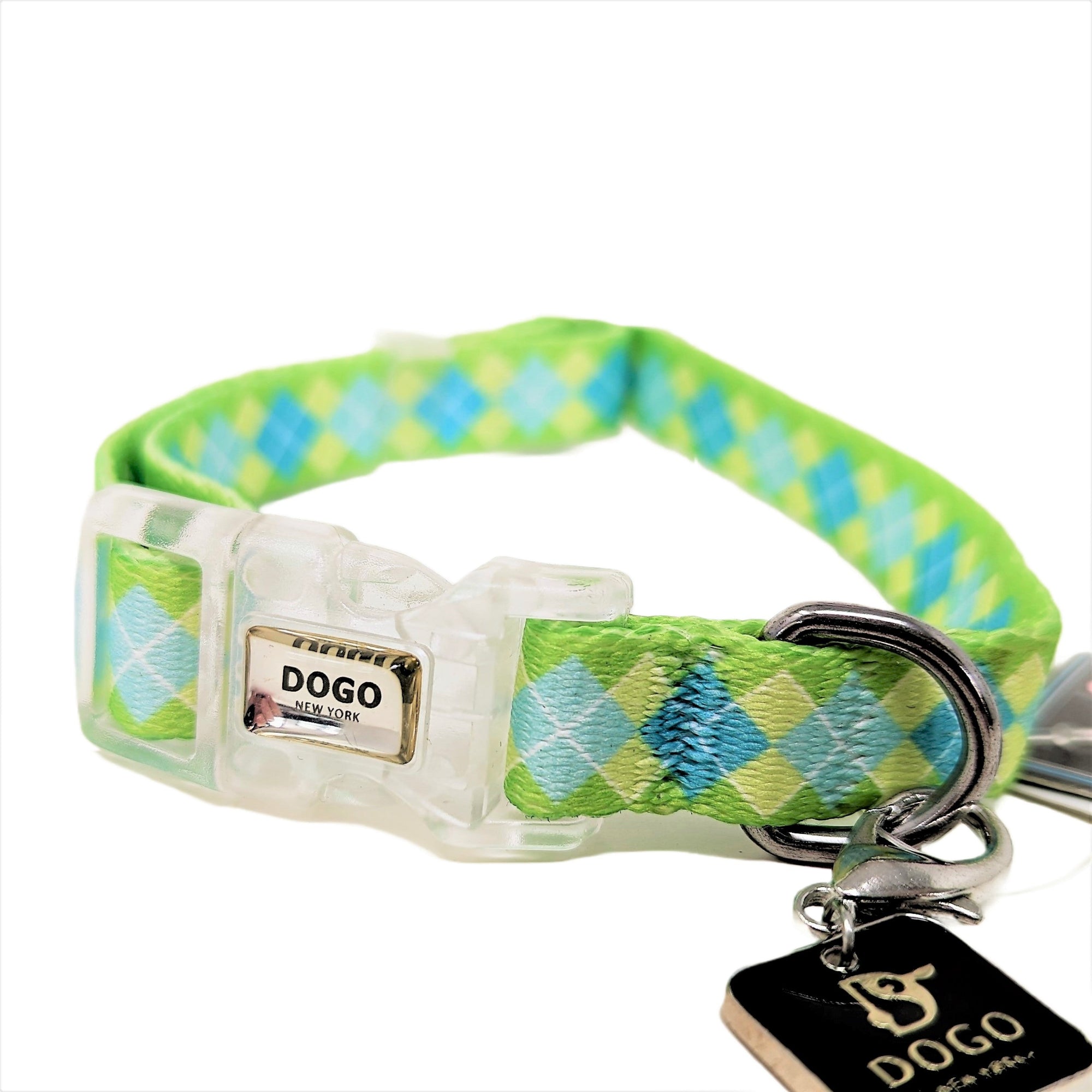DOGO Contempo Dog Collar