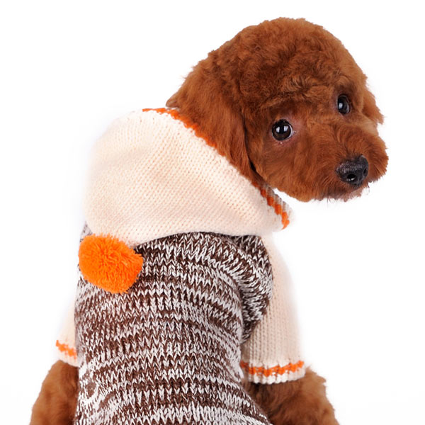 DOGO Contrast Hoodie Dog Sweater