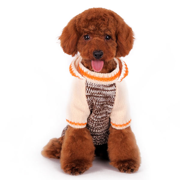 DOGO Contrast Hoodie Dog Sweater