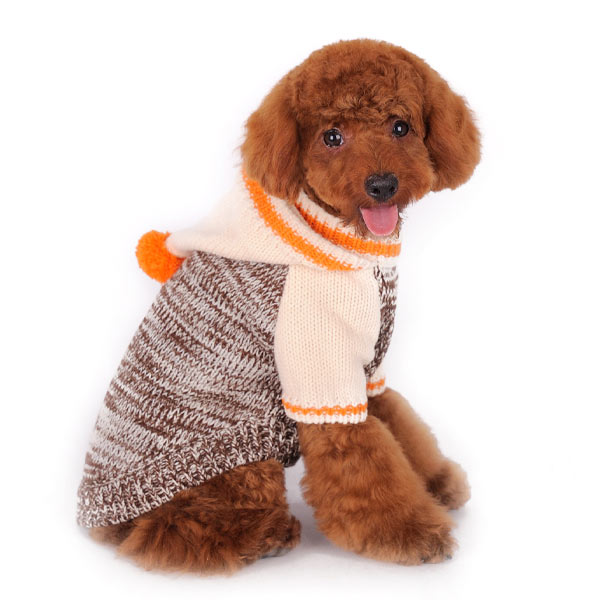 DOGO Contrast Hoodie Dog Sweater