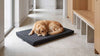 Bowsers Cool Gel Memory Foam Dog Crate Mattress Pad - Cooling Memory Foam Joint Support