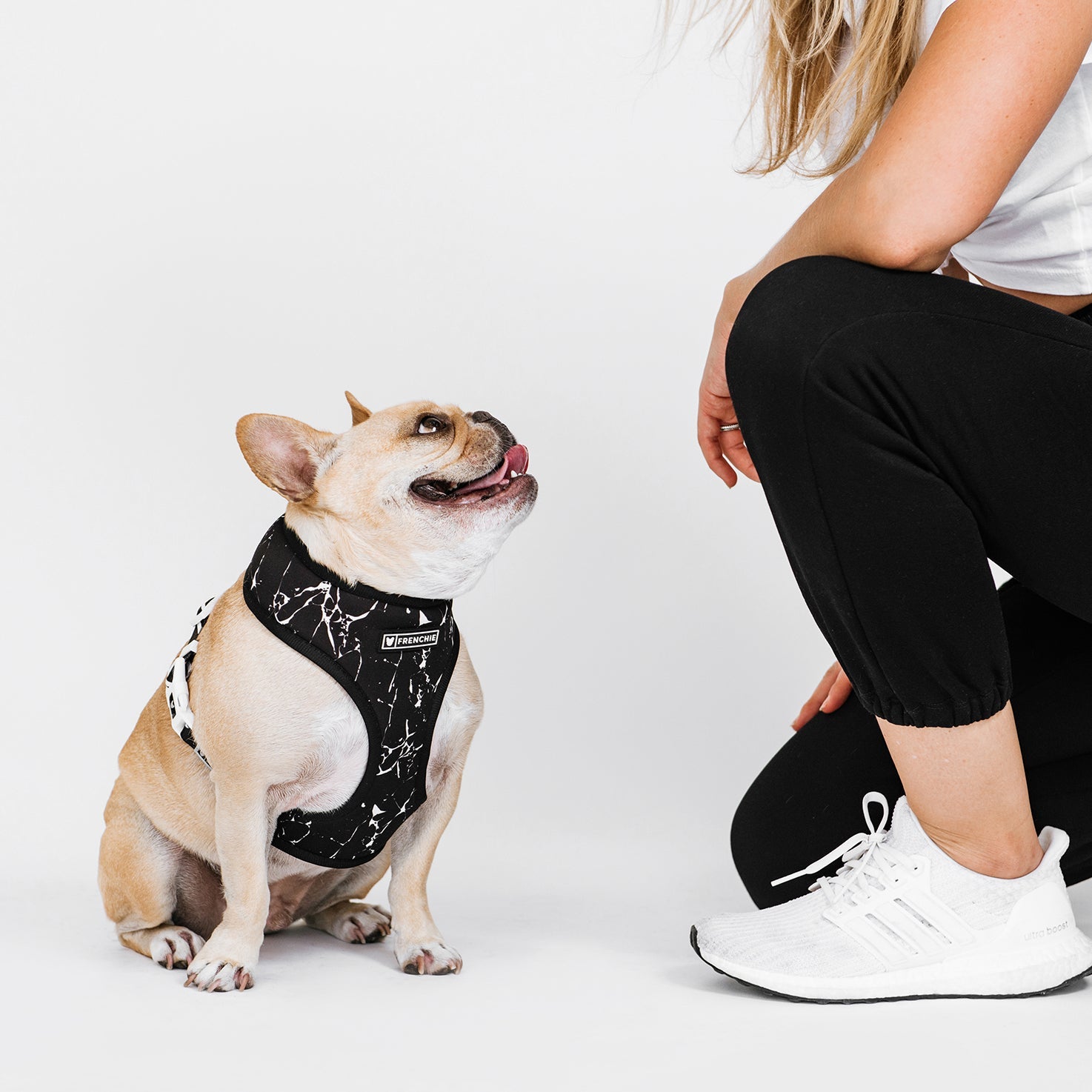 Frenchie Duo Reversible Harness - Black Marble - HT Animal Supply