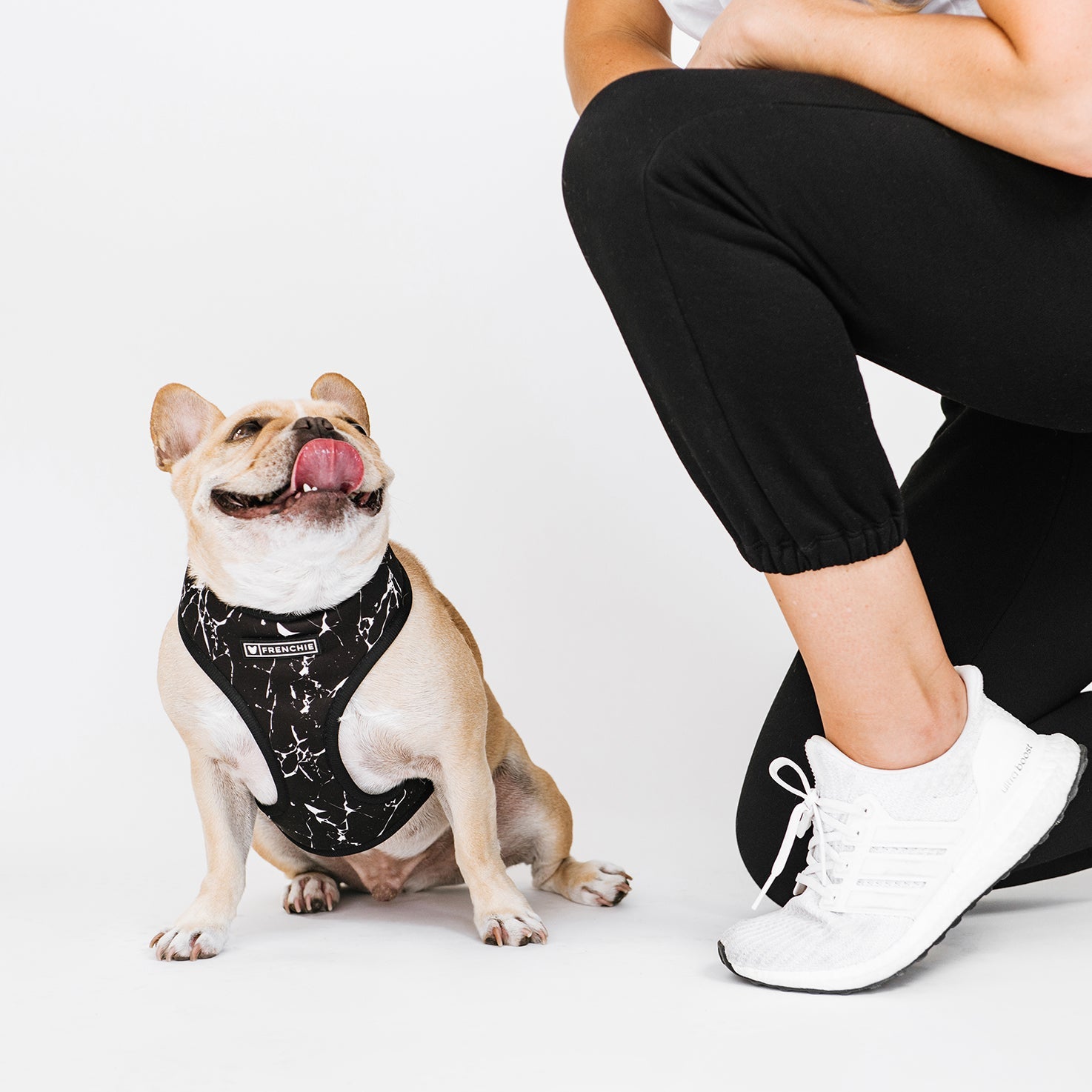 Frenchie Duo Reversible Harness - Black Marble