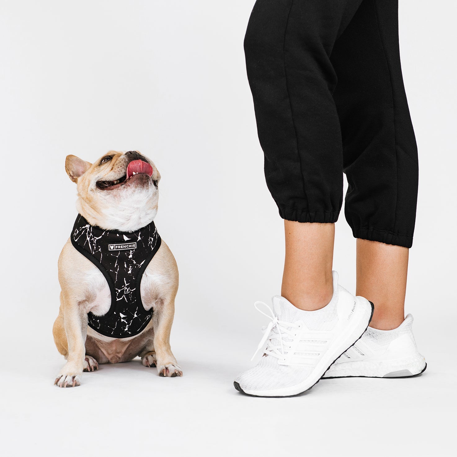 Frenchie Duo Reversible Harness - Black Marble - HT Animal Supply