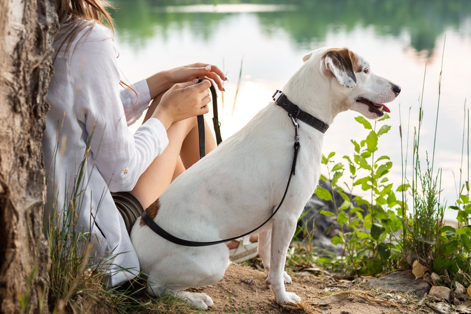 Euro-Dog Celtic Sport Quick-Release Leather Dog Collar