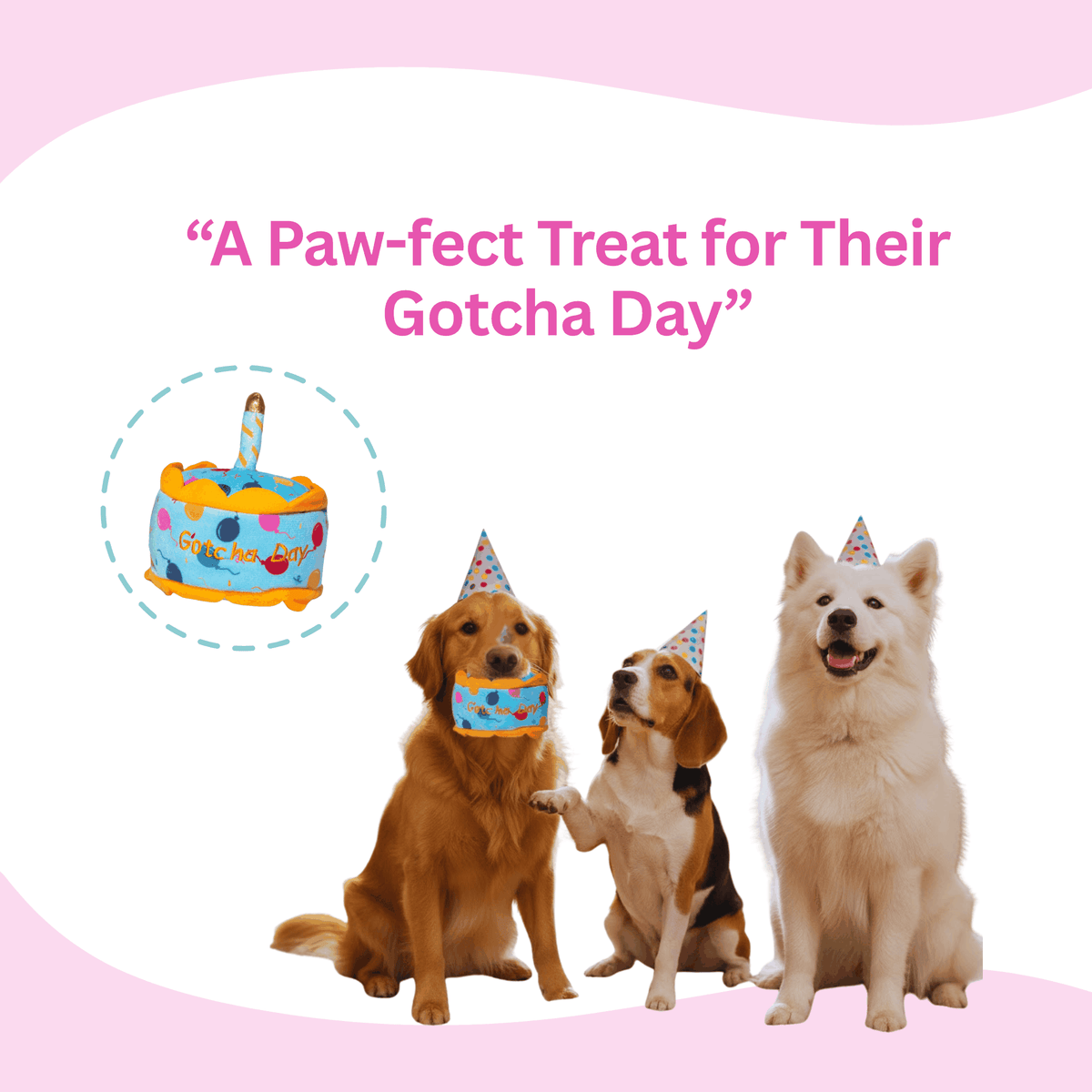 Glow Pups: Gotcha Day Squeaky Plush Dog Toy