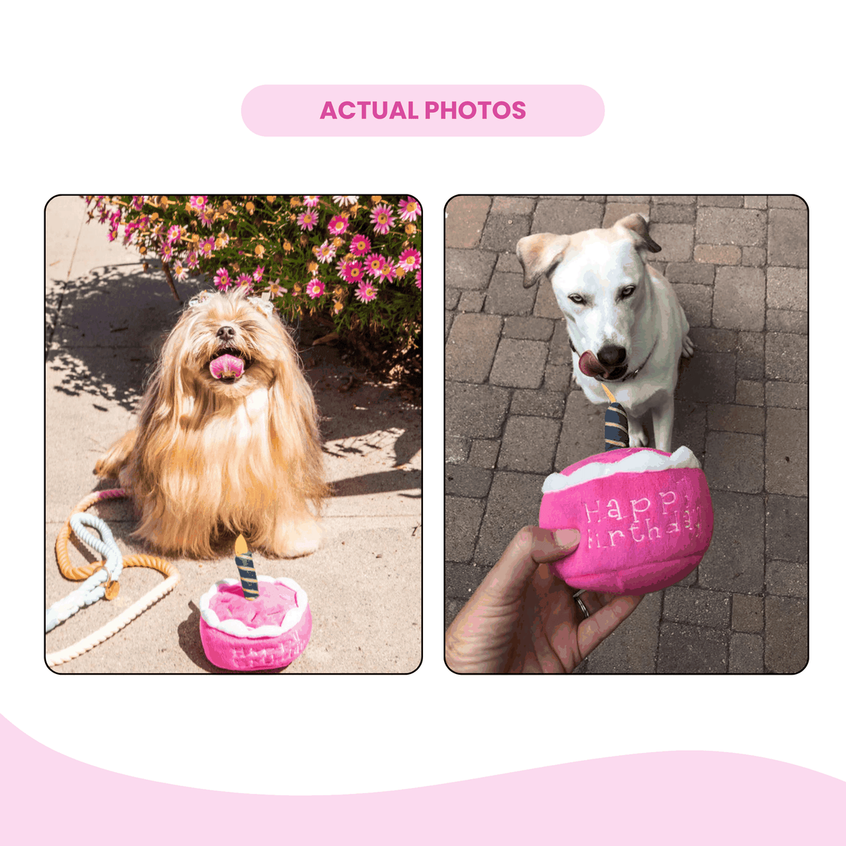 Glow Pups: Pink Birthday Cake Squeaky Plush Dog Toy