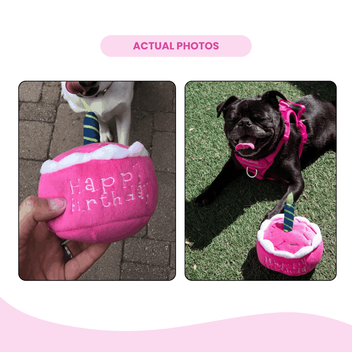 Glow Pups: Pink Birthday Cake Squeaky Plush Dog Toy