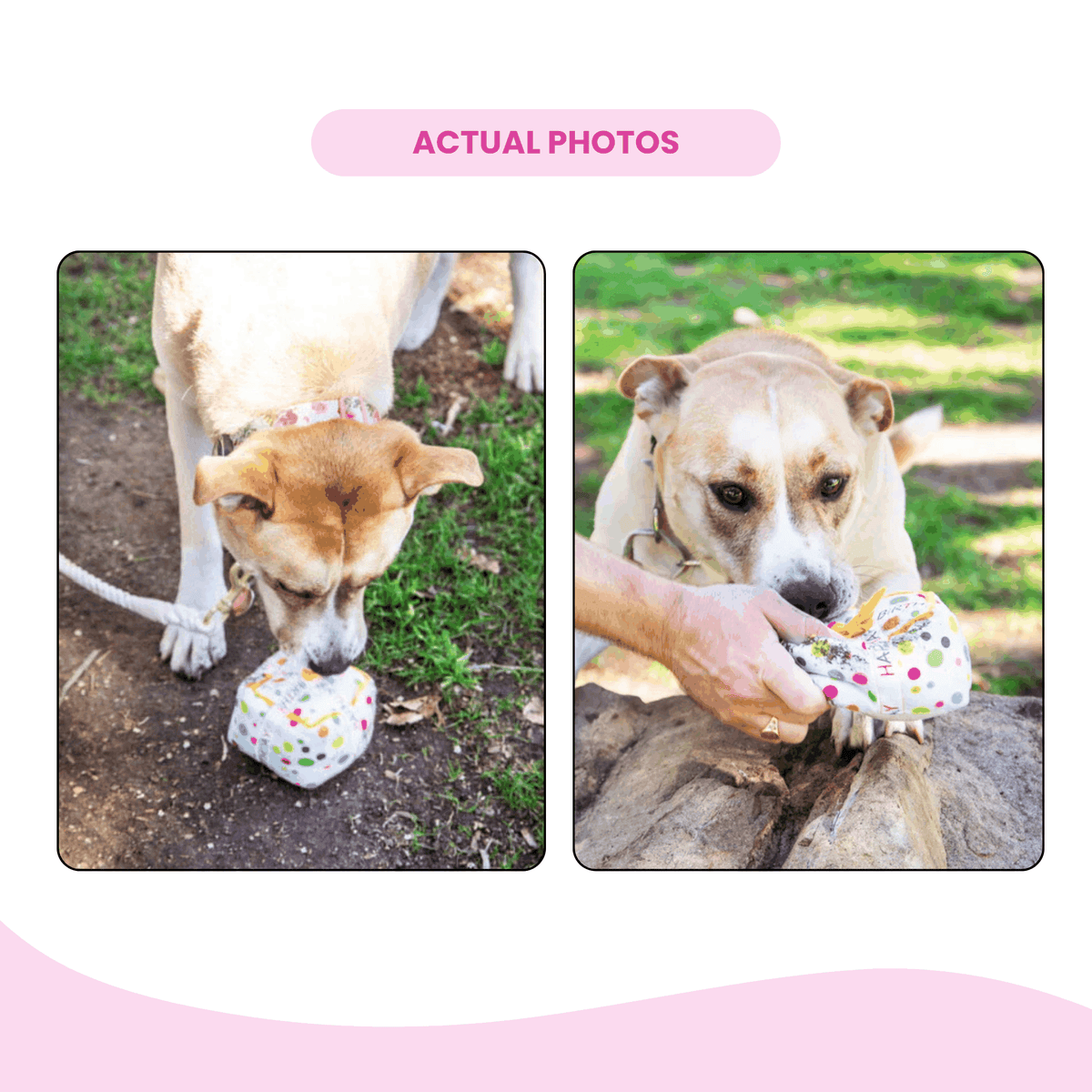 Glow Pups: Birthday Present Squeaky Plush Dog Toy