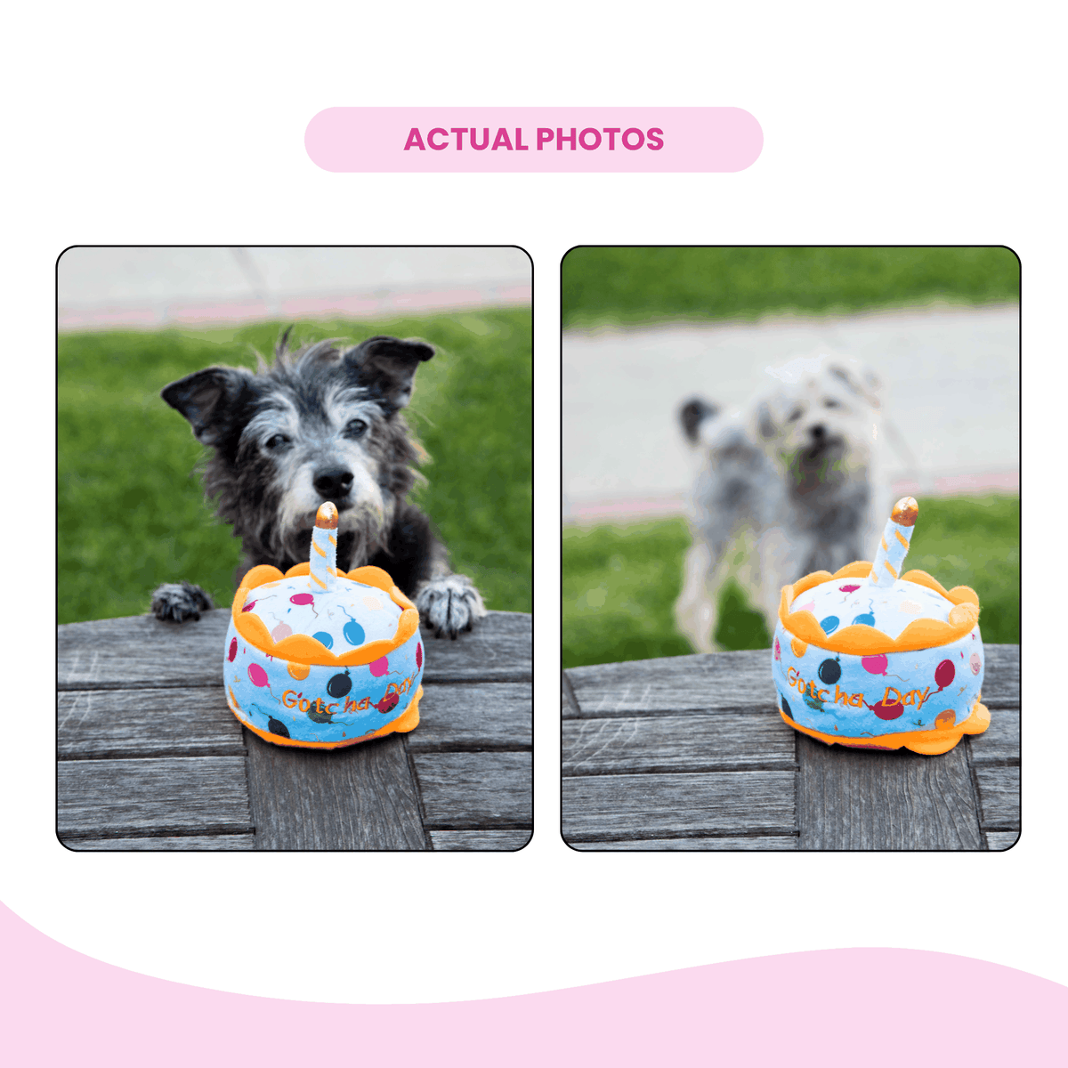 Glow Pups: Gotcha Day Squeaky Plush Dog Toy