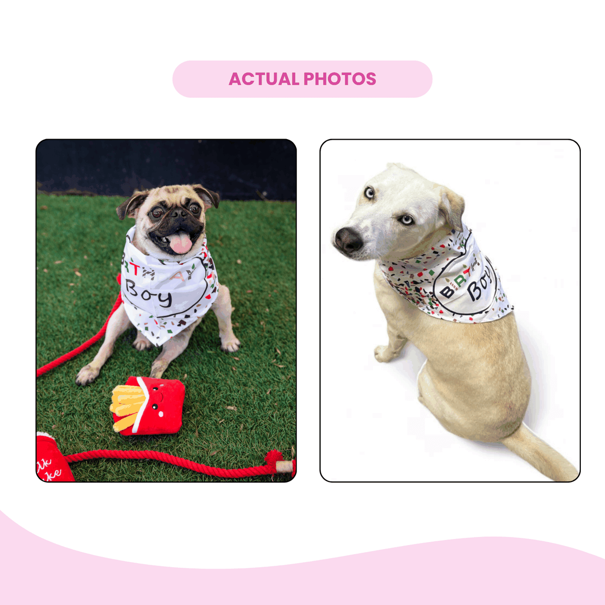 Glow Pups: Birthday Dog Bandanas