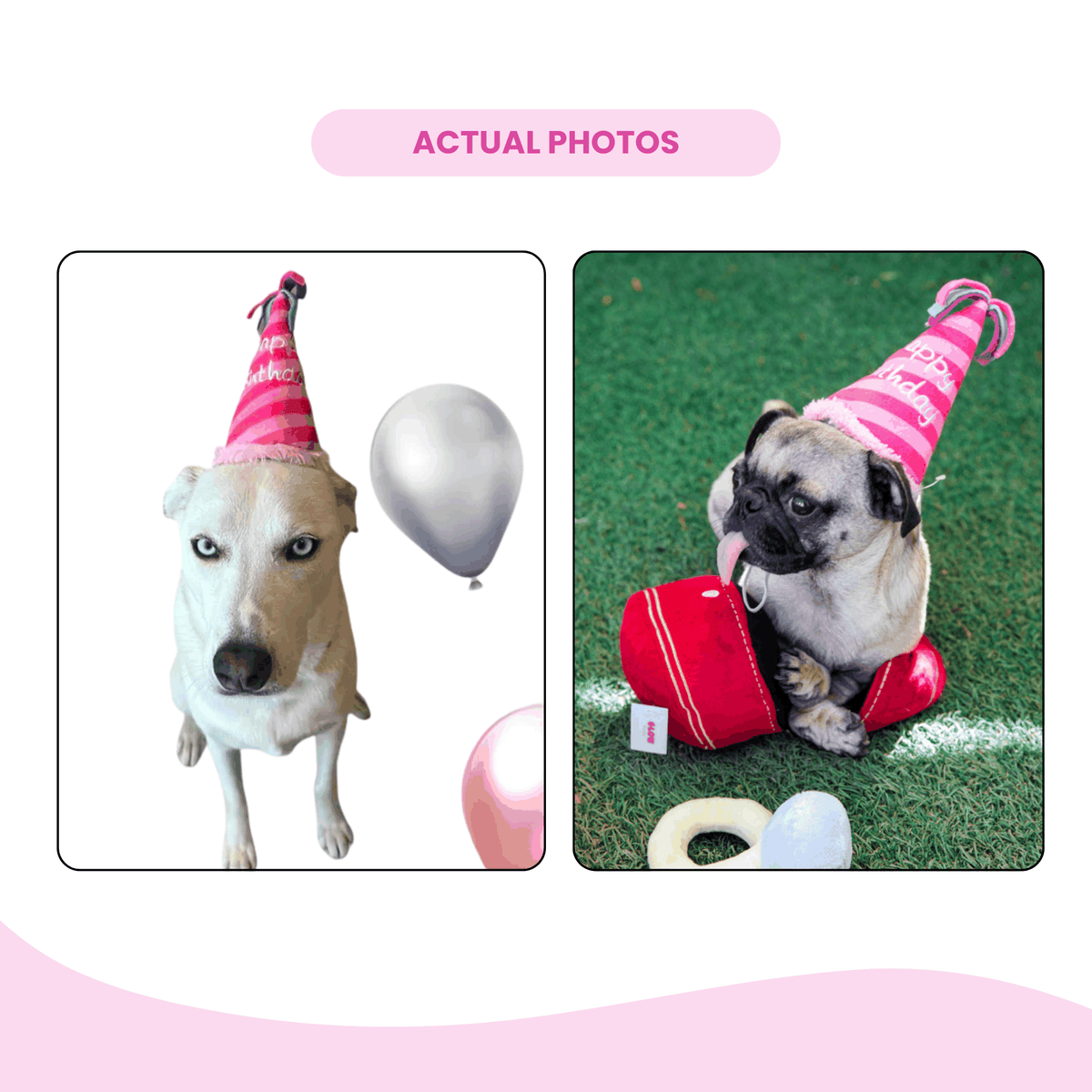 Glow Pups: Pink Birthday Hat Squeaky Plush Dog Toy