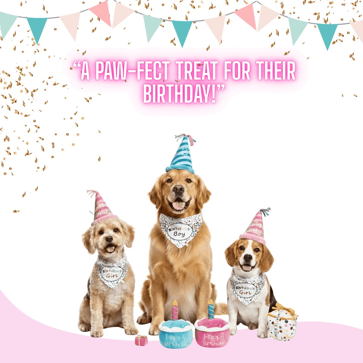 Glow Pups: Birthday Dog Bandanas