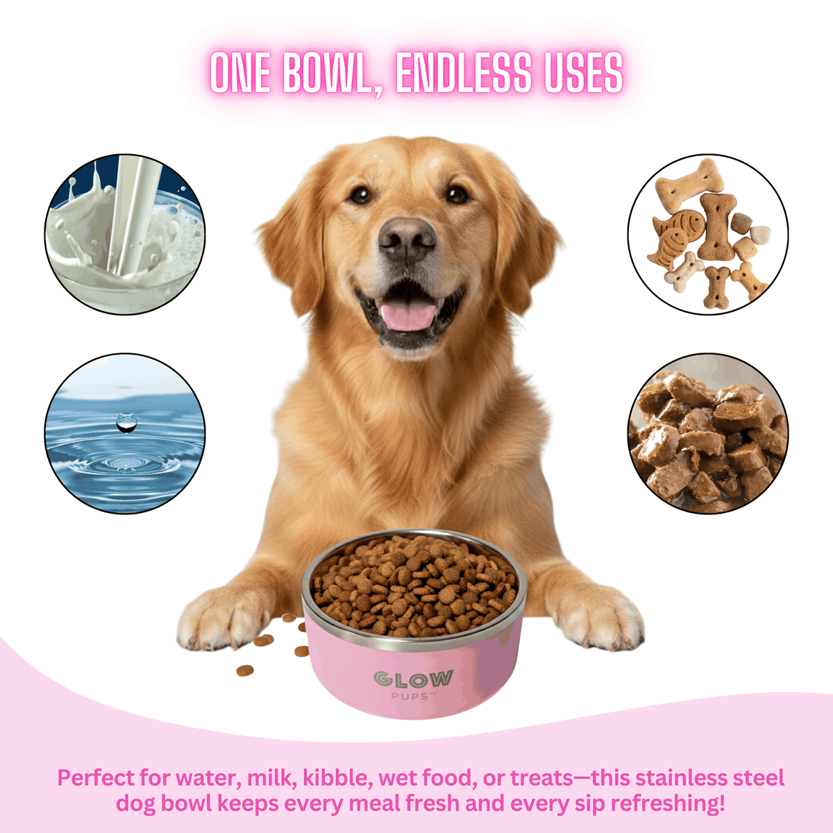Glow Pups: White Vacuum Insulated Stainless Steel Dog Bowl