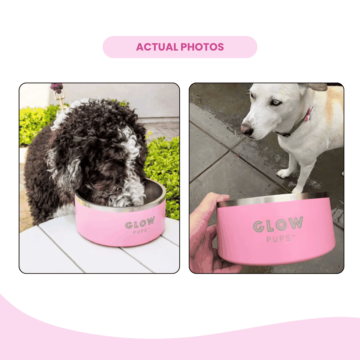 Glow Pups: Light Pink Vacuum Insulated Stainless Steel Dog Bowl