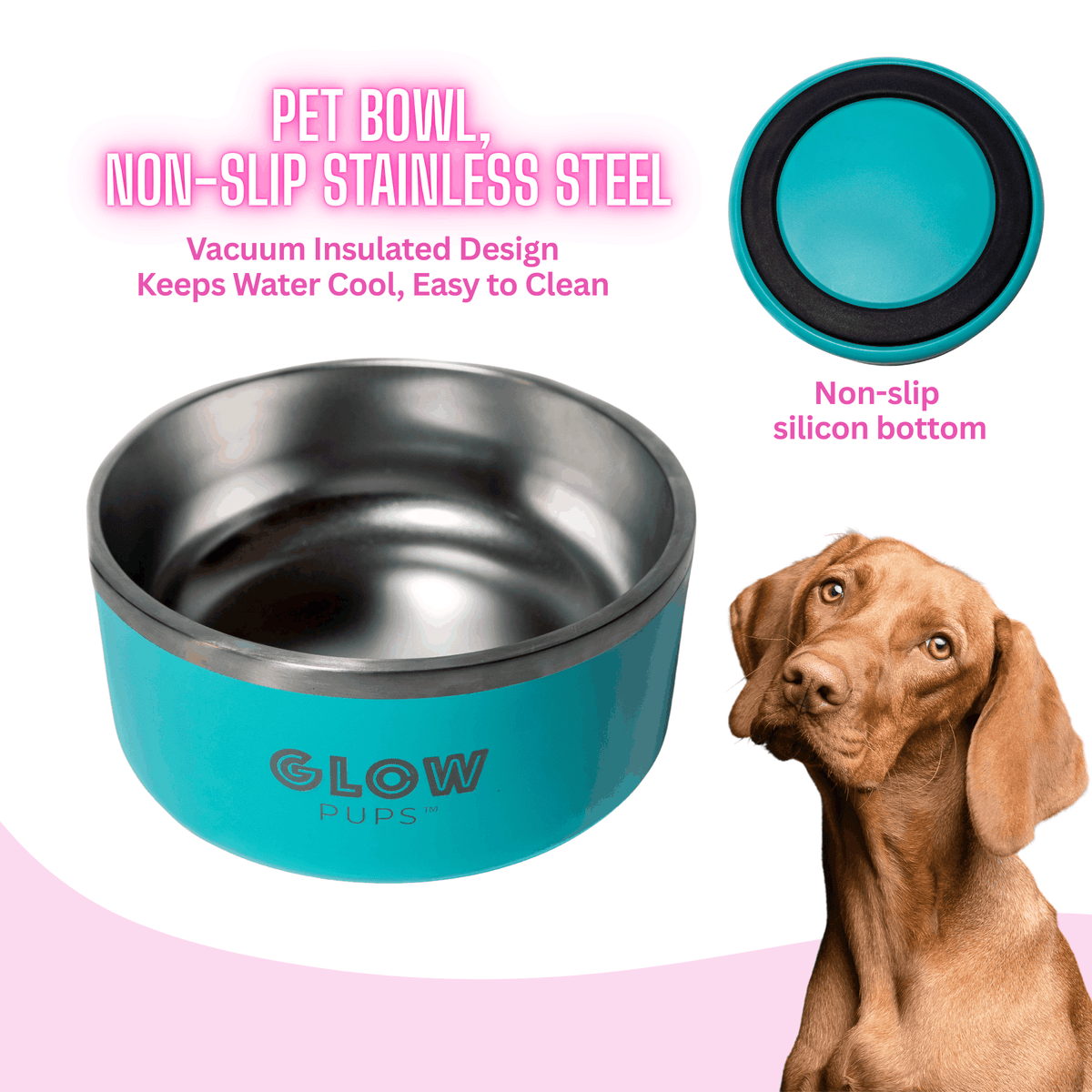 Glow Pups: Aqua Blue Vacuum Insulated Stainless Steel Dog Bowl