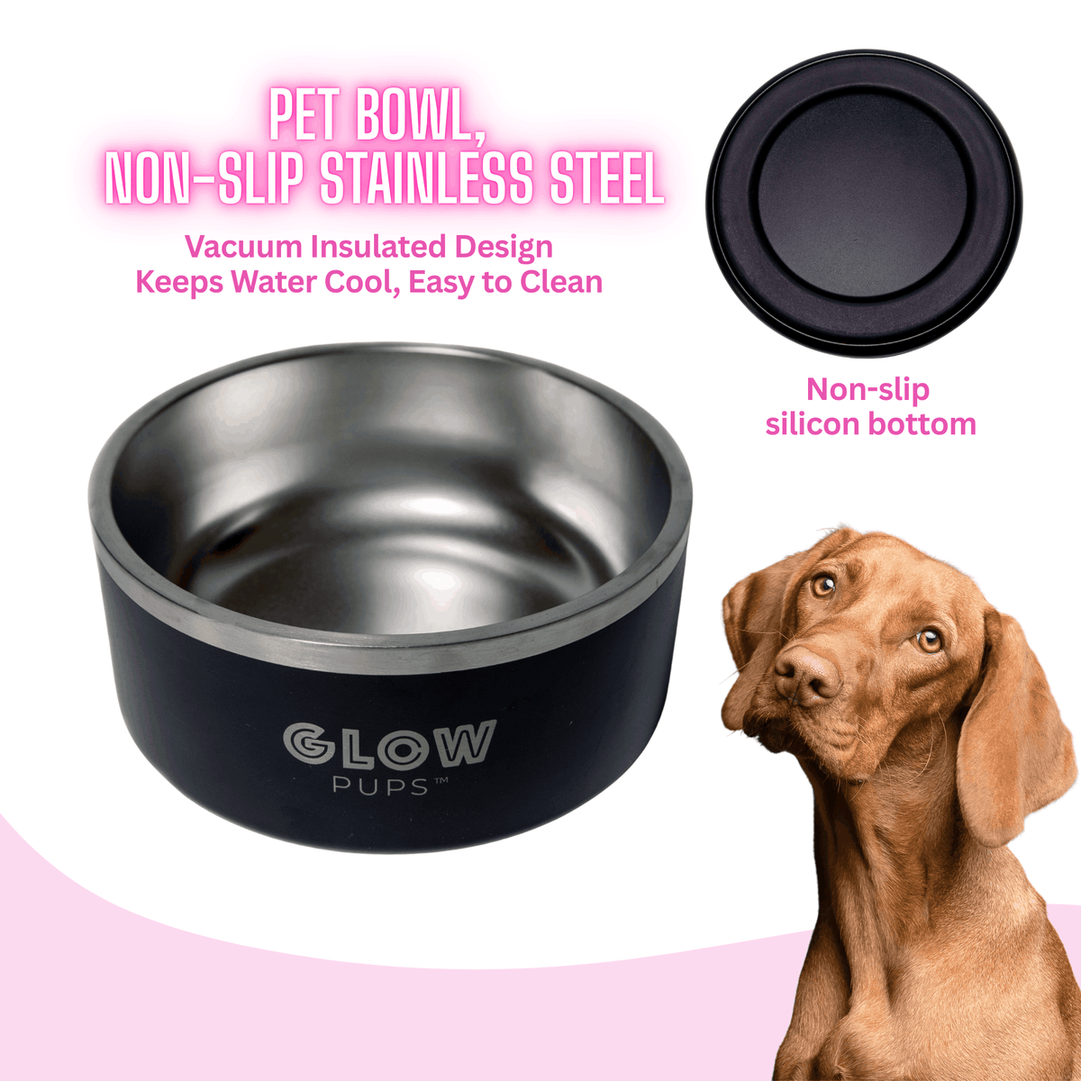 Glow Pups: Black Vacuum Insulated Stainless Steel Dog Bowl