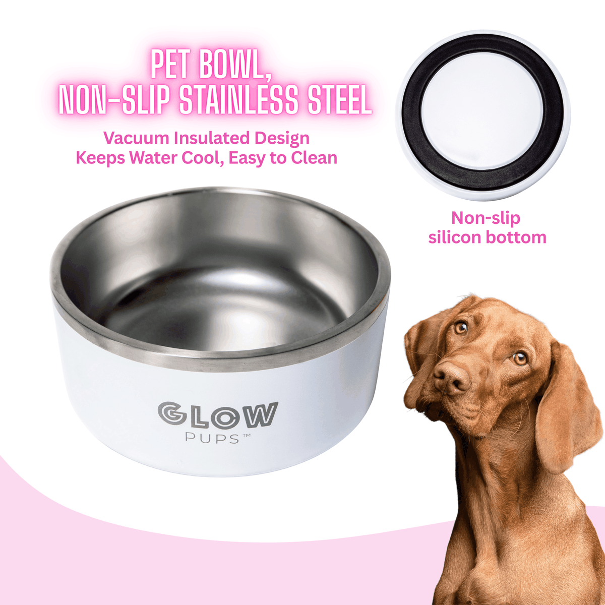 Glow Pups: White Vacuum Insulated Stainless Steel Dog Bowl