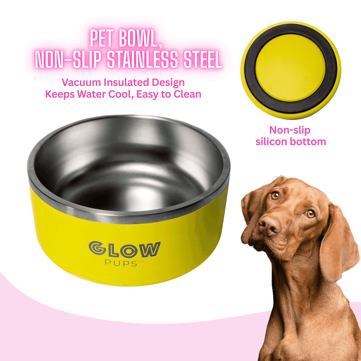 Glow Pups: Sunshine Yellow Vacuum Insulated Stainless Steel Dog Bowl