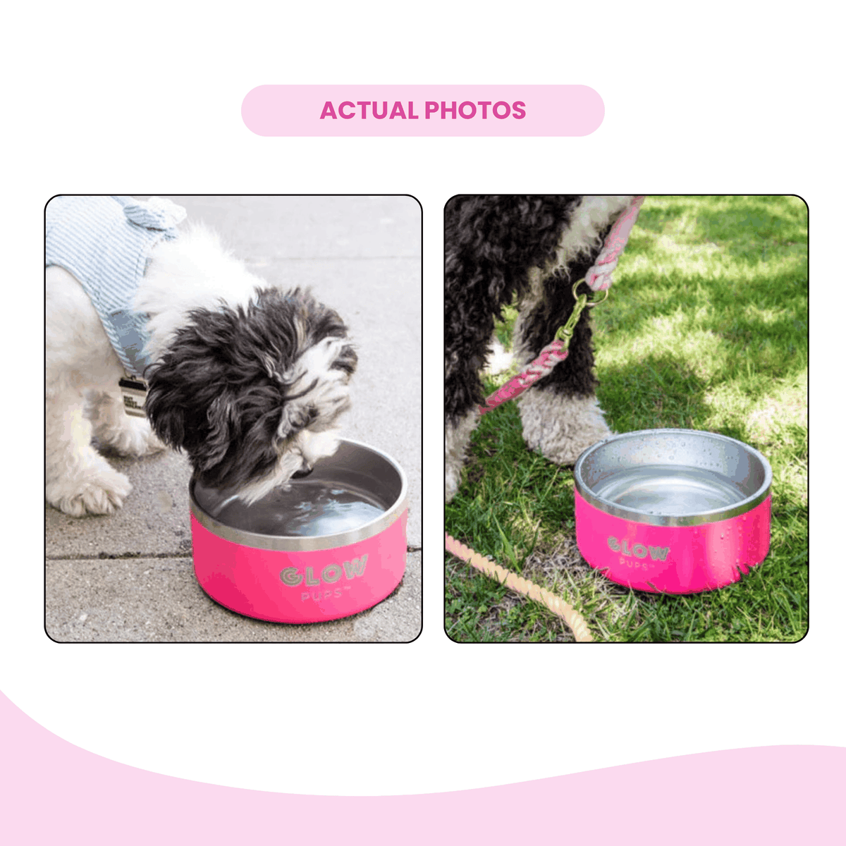 Glow Pups: Bright Pink Vacuum Insulated Stainless Steel Dog Bowl