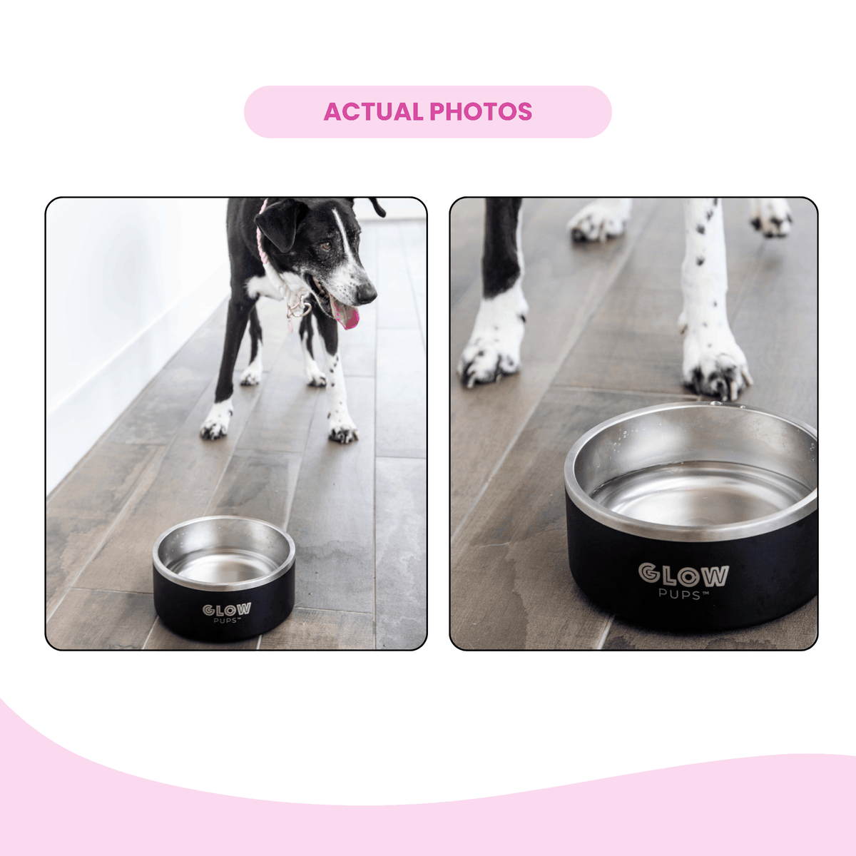 Glow Pups: Black Vacuum Insulated Stainless Steel Dog Bowl