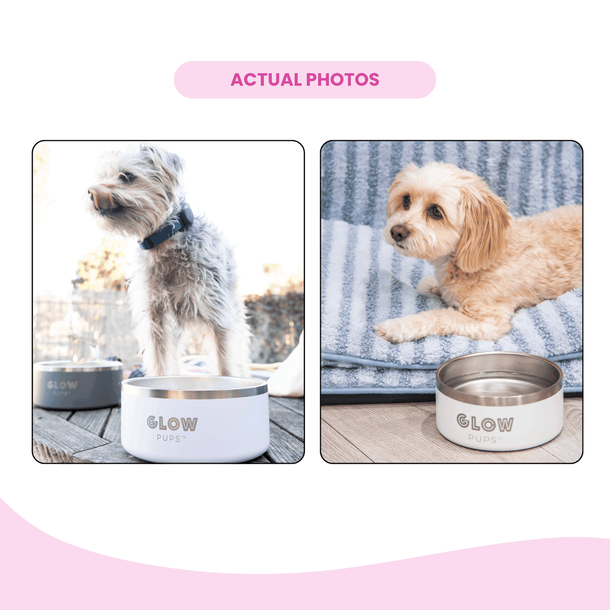 Glow Pups: White Vacuum Insulated Stainless Steel Dog Bowl