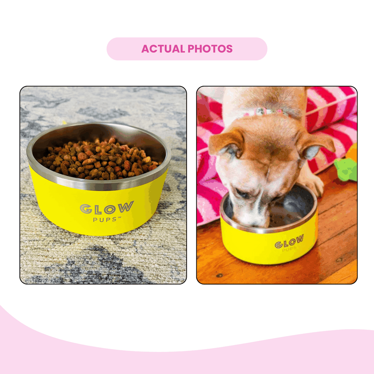 Glow Pups: Sunshine Yellow Vacuum Insulated Stainless Steel Dog Bowl