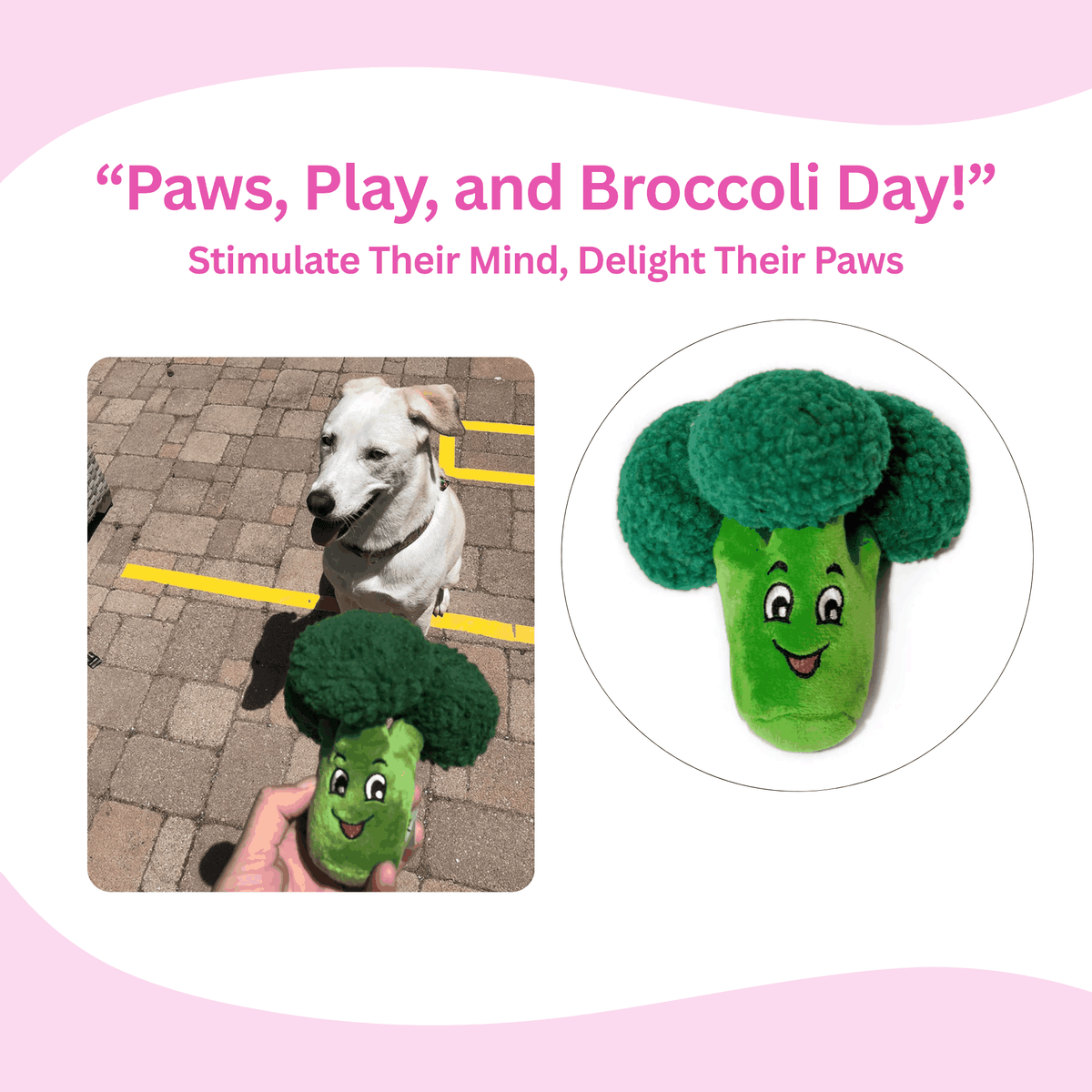 Glow Pups: Broccoli Squeaky Plush Dog Toy