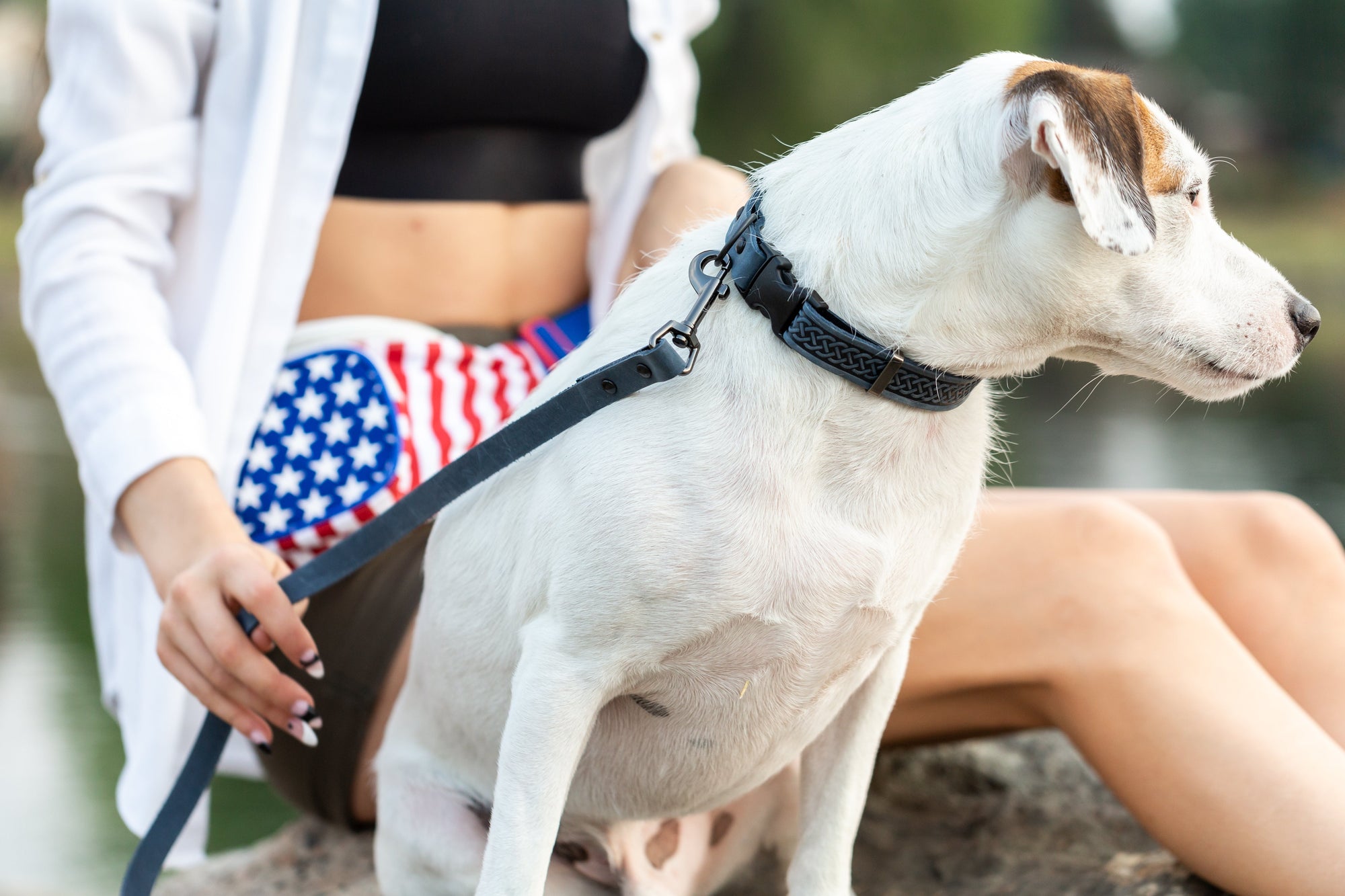 Euro-Dog Celtic Sport Quick-Release Leather Dog Collar