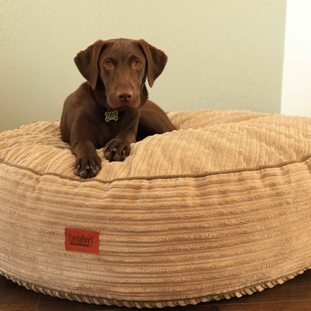 CordaRoys 50-Inch Waterproof Terry Corduroy Dog Bed
