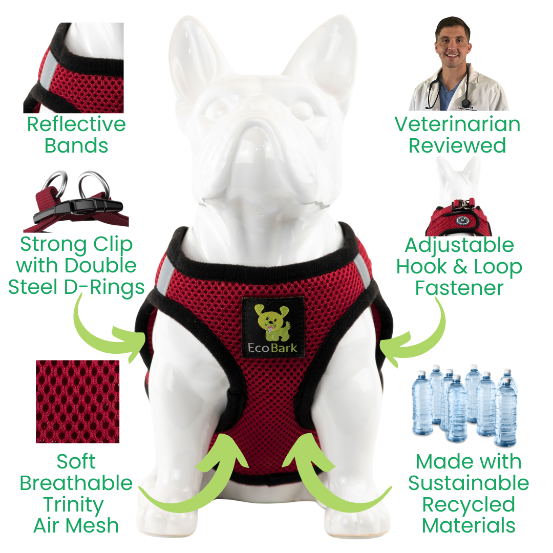 EcoBark – Burgundy Reflective Step-In Dog Harness