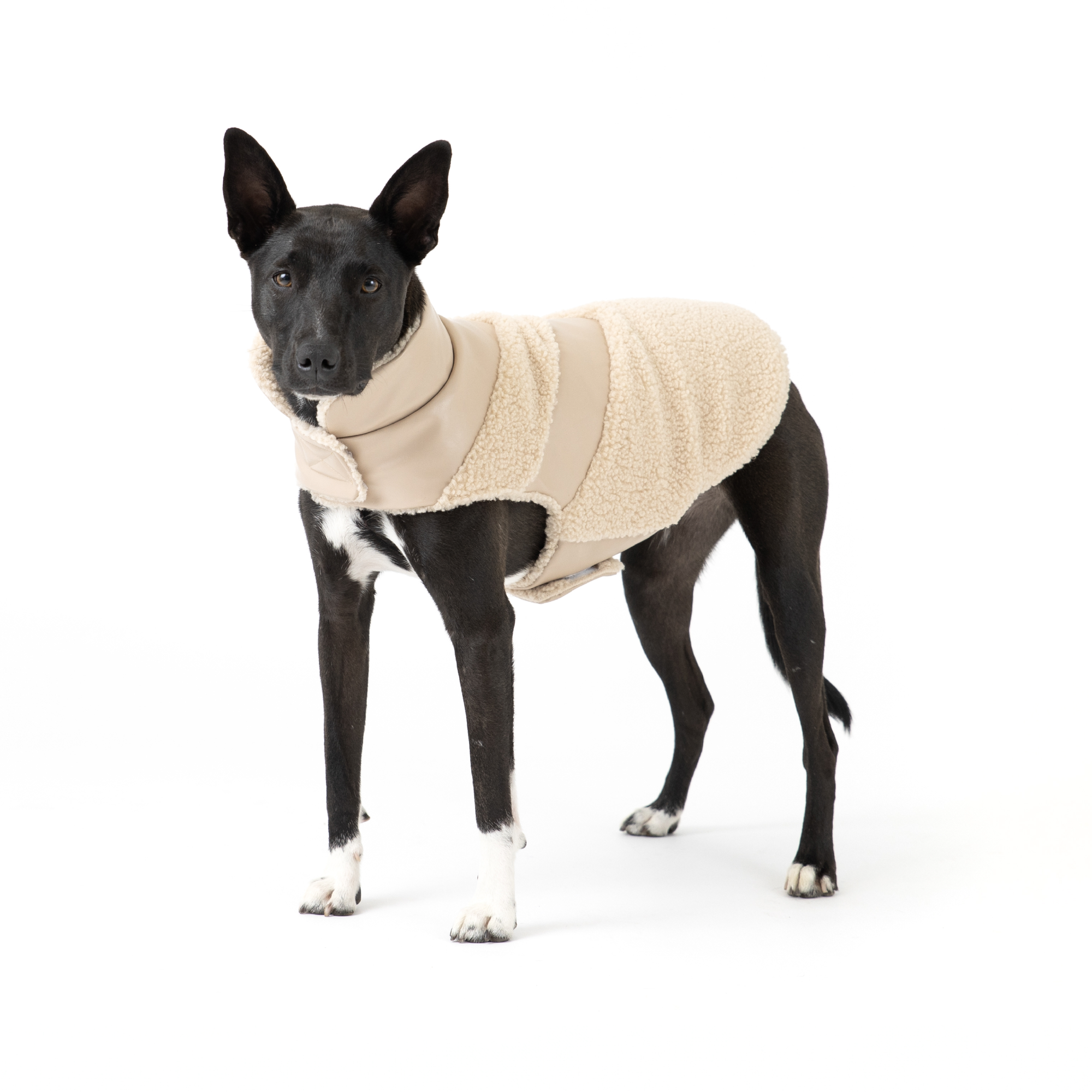 Fab Ski Tan Leather Shearling Coat 